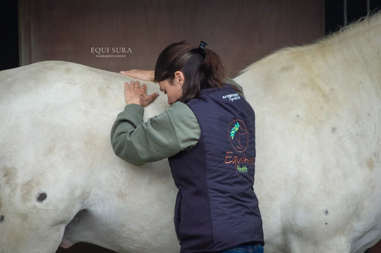 Equines Health | Gaëlle Debuyst